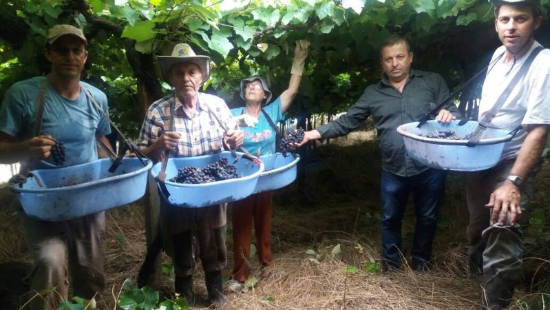 Vereador Uez visita produtores de Uva no interior de Caxias do Sul