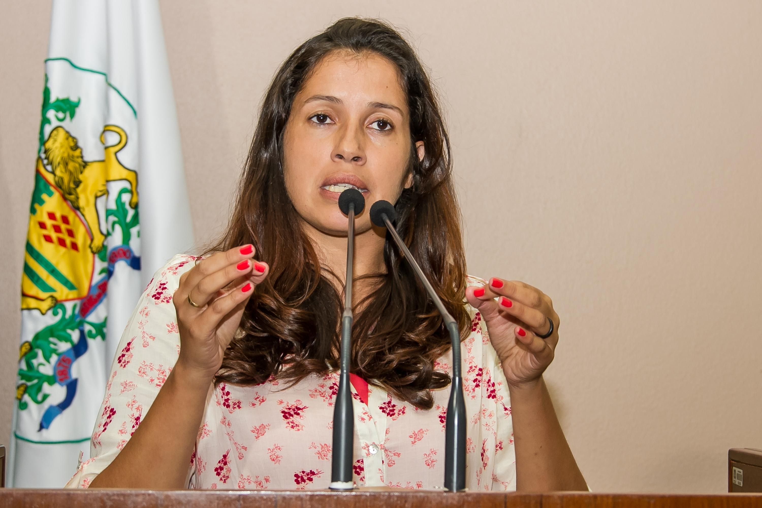 Leia mais sobre Vereadora Denise Pessôa defende o Programa Bolsa Família 