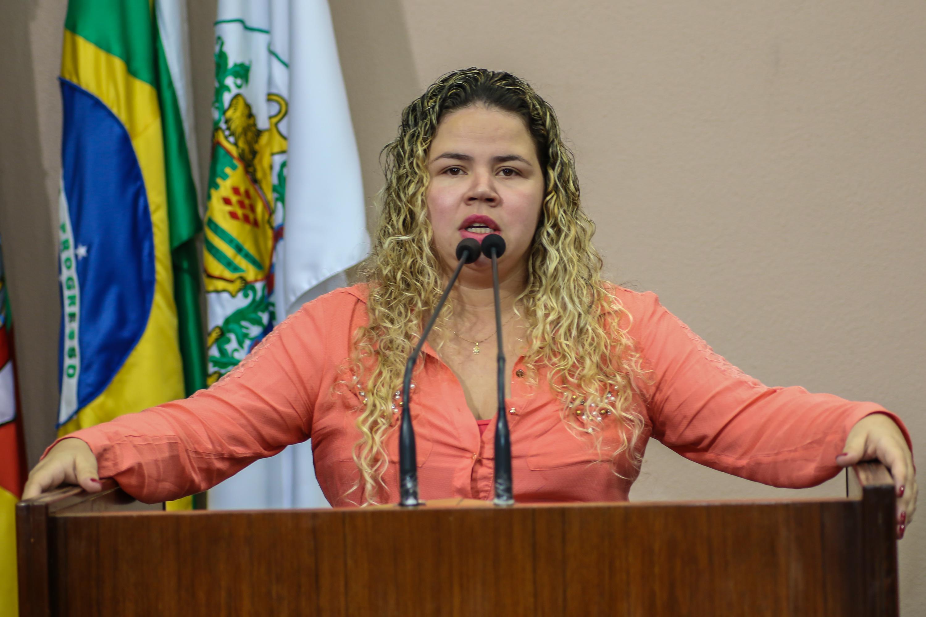 Debatido projeto de lei para instituir o Dia Municipal do Feirante em Caxias do Sul