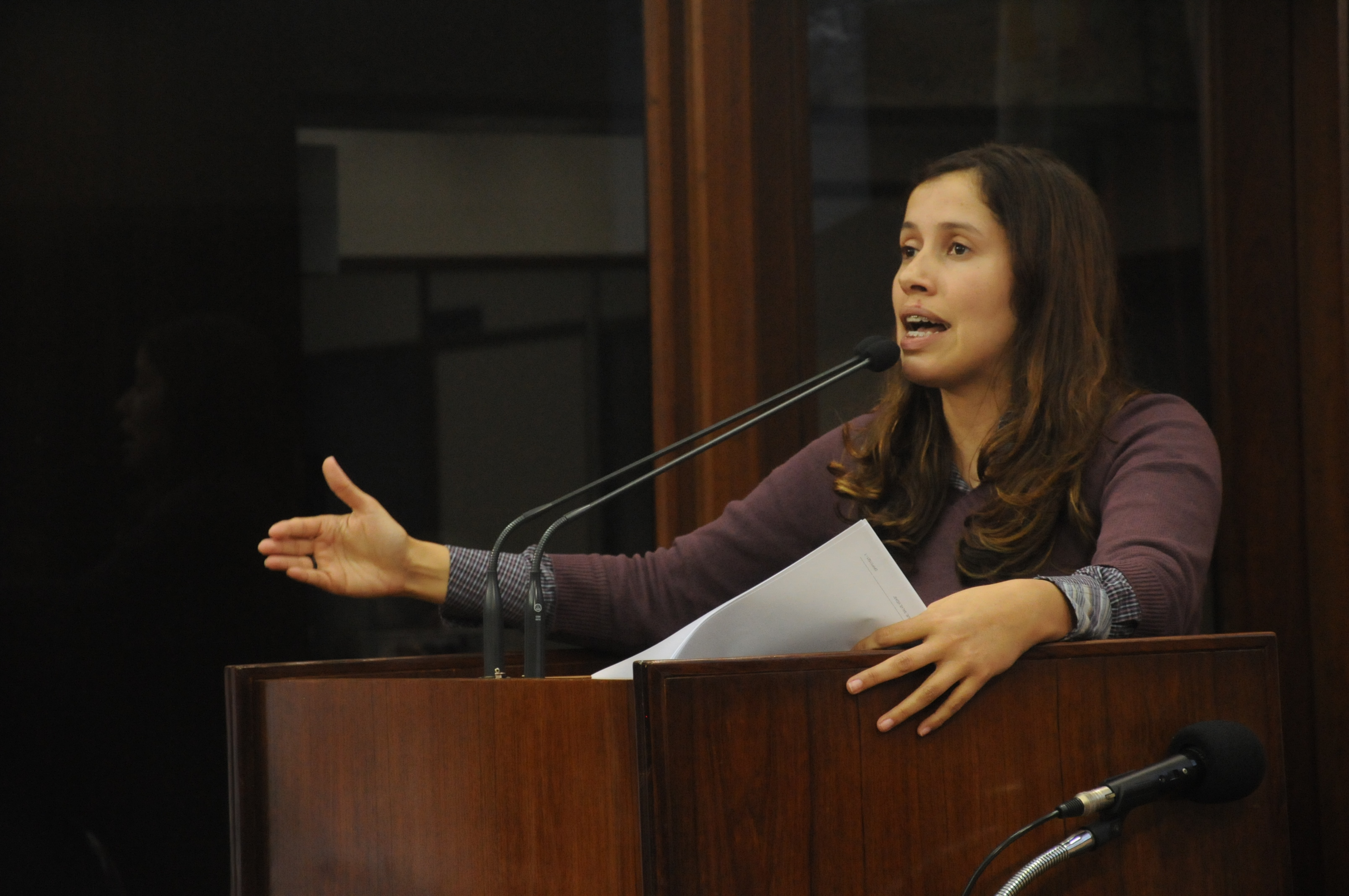 Leia mais sobre Denise Pessôa reapresenta indicação ao Executivo Municipal