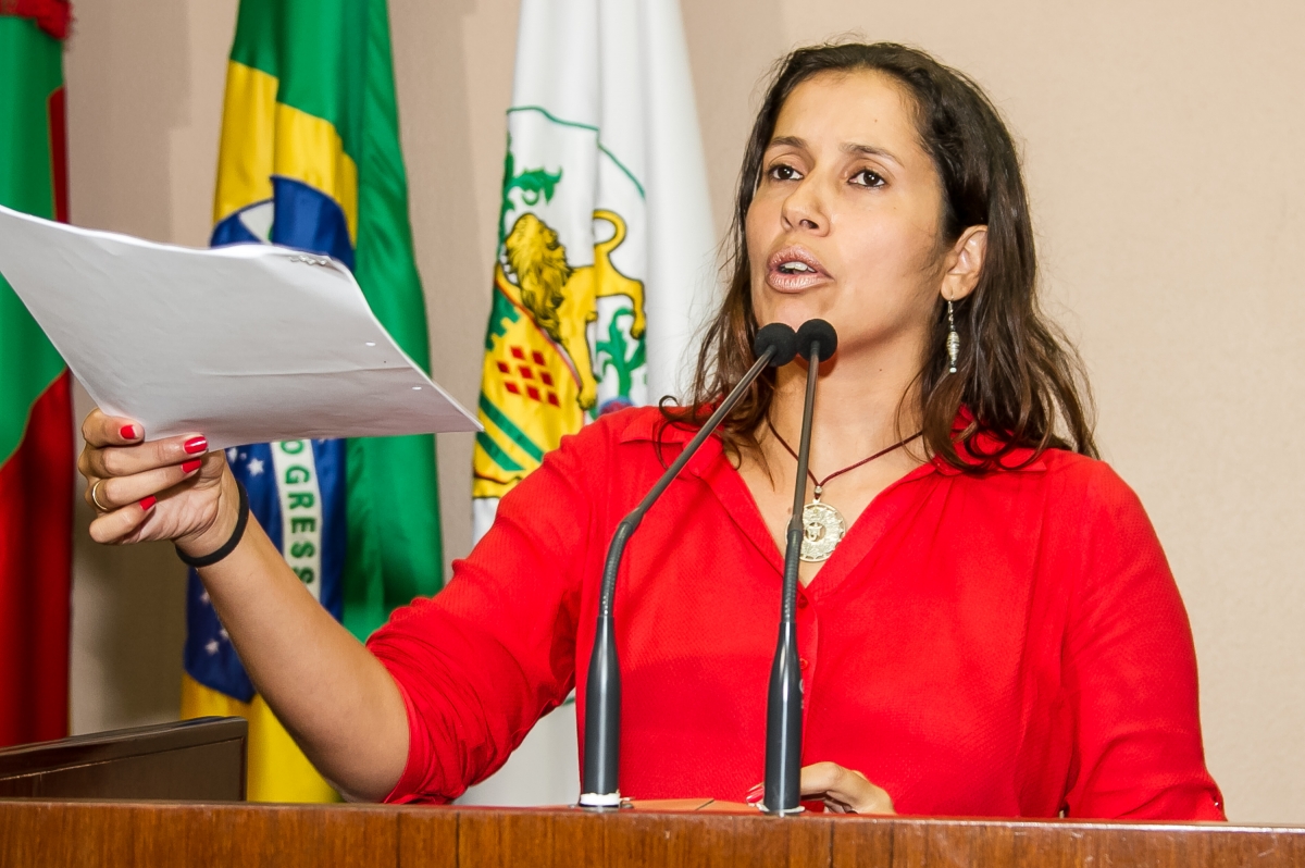 Denise Pessôa aponta problemas com o sistema de informática do Legislativo