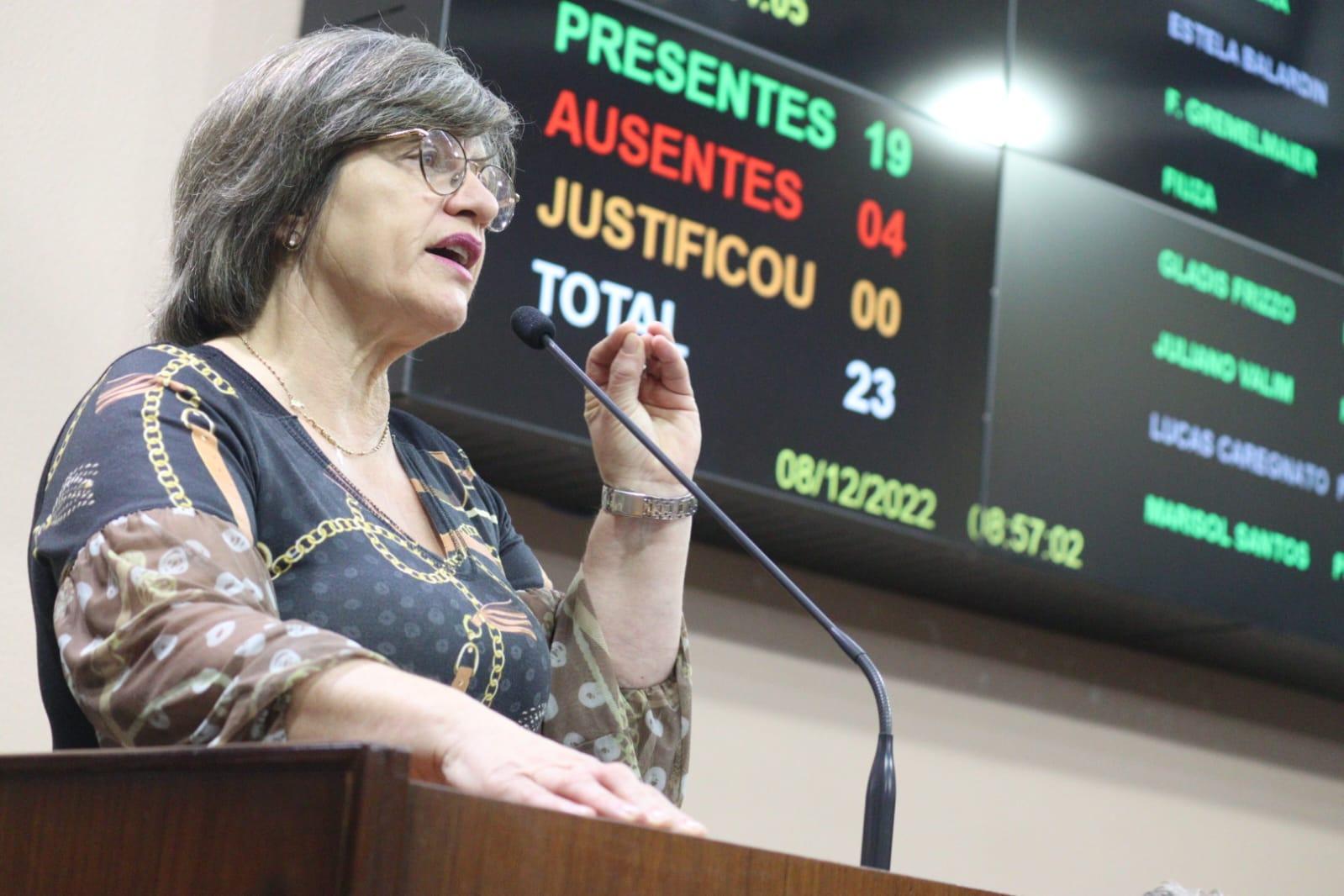 Silvana Piroli esclarece reivindicações dos servidores públicos 