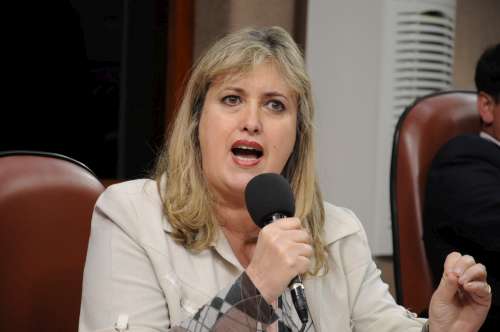  Ana Corso propõe criação de Frente Parlamentar em Defesa da Criança e do Adolescente 