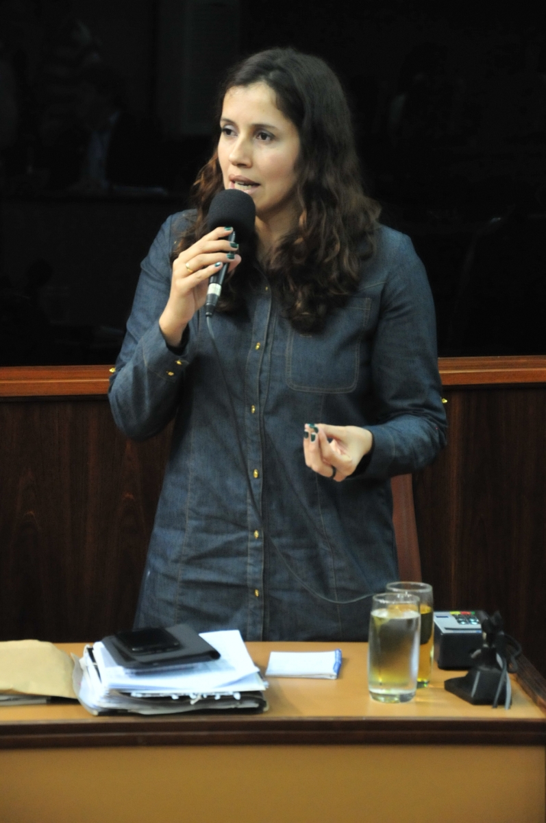 Denise Pessôa informa que as solicitações de refúgio serão aceitas pela Polícia Federal em outros idiomas