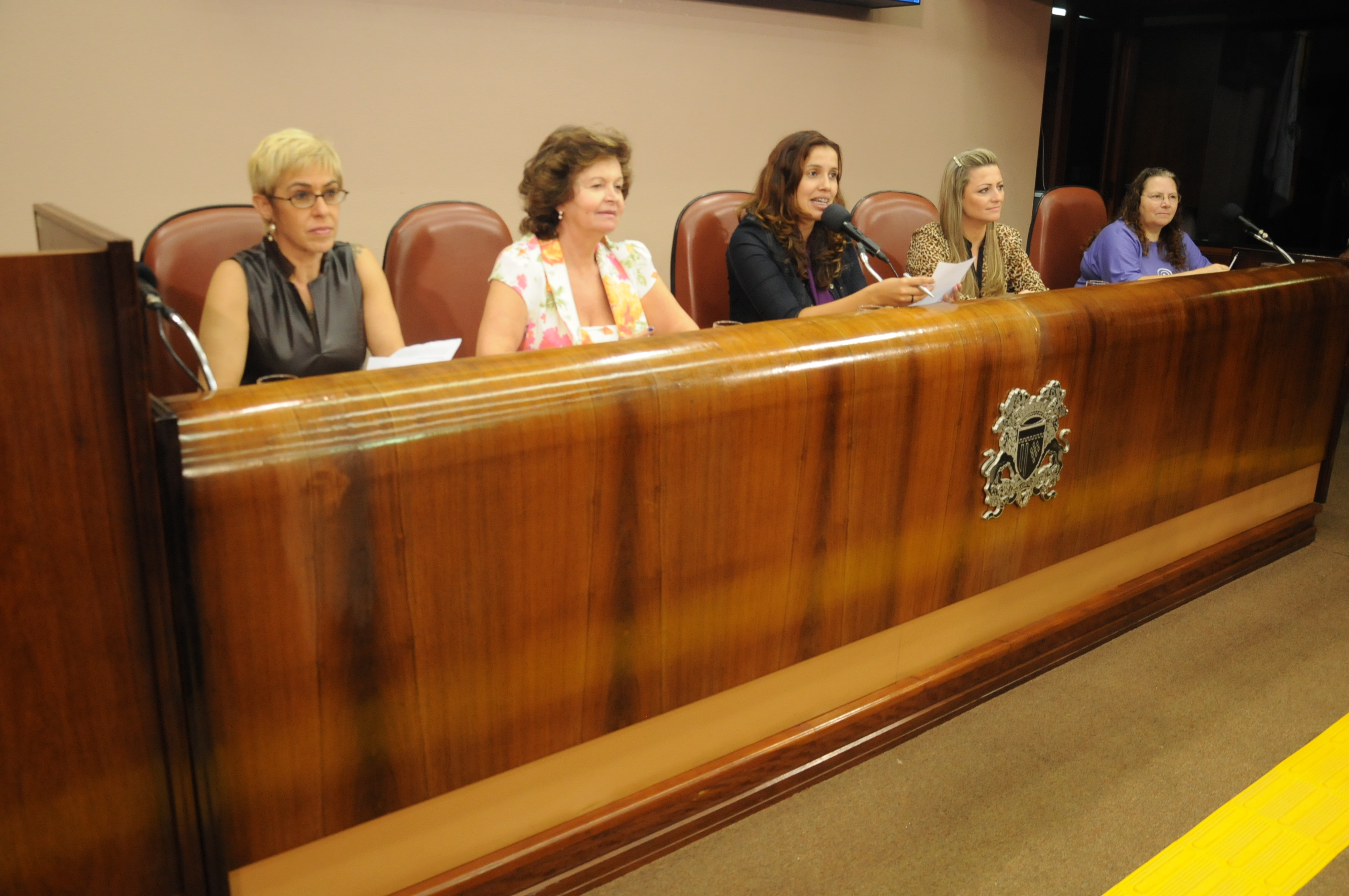 Legislativo quer o fortalecimento dos grupos que lutam pelos direitos das mulheres